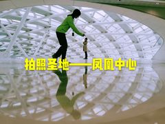 -凤凰中心