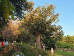 -福田红树林生态公园