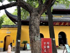 -西园寺素食(西园弄戒幢律寺店)