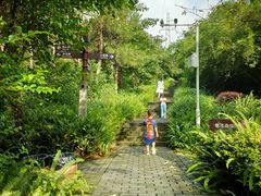 -铁山坪森林公园