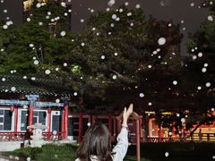 -寻梦滕王阁实景演出