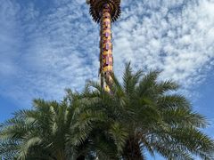 -广州长隆欢乐世界