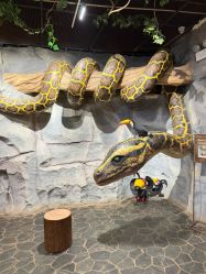 -Zoolung Zoolung动物主题公园(海信广场店)