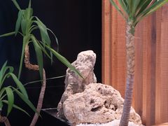 -米漾酒店(深圳会展中心岗厦地铁站店)