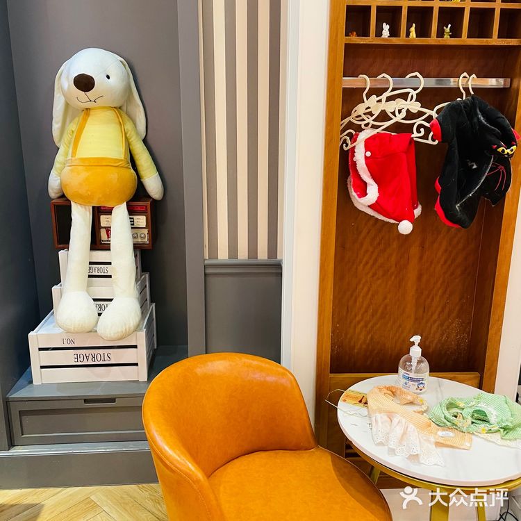 Nice to meet U 安哥拉兔巨兔体验馆