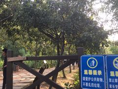 -大亚湾红树林城市湿地公园