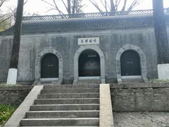 -镇江市南山风景名胜区竹林景区