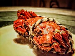清蒸大阐蟹-新光酒家·河豚·海鲜·蟹料理(浦东店)