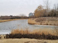 -大兴滨河森林公园