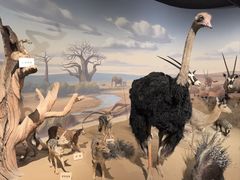 -陕西自然博物馆