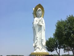 -白洋淀景区