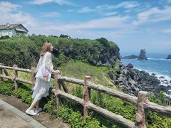 -涉地可支
