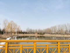 -东郊湿地公园