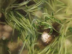 -一块豆腐·海鲜·家常菜(李沧书院路店)