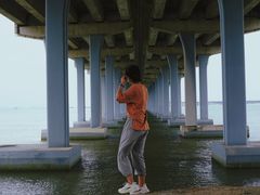 -宝安西湾红树林湿地公园