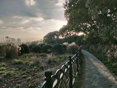 -黄兴公园