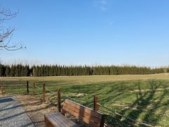 -汉长安城未央宫国家考古遗址公园