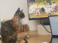 -瑞鹏宠物医院·骨科·猫科·内科(第一中心)