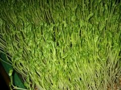 -禾田下生态餐厅(华天城总店)