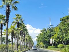 -小海豚•老字号海鲜餐厅(天涯店)