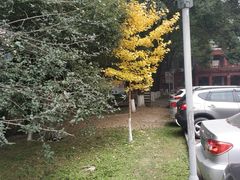 -四川大学(望江校区)