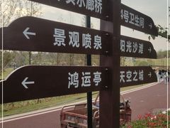 -九龙湖公园