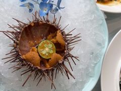 -鲜得莱渔港·小平岛海胆馆(七贤岭店)