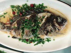 -金海湾海鲜排档(朱家尖店)