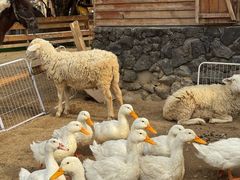 -HERRE·FARM 赫尔露营农场·团建聚会包场