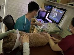 -美联众合动物医院·24h京西诊疗中心