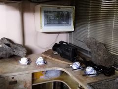 -食德喜·阳山鸡王食研基地