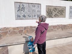 -无锡梅园公园
