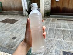 -洪馨椰子