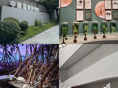 -中国湿地博物馆
