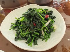 -新粤新疆菜(禅城店)