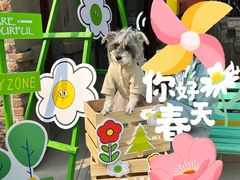 -上街里市集(悦喜客来广场店)