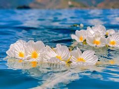 -丽江泸沽湖景区