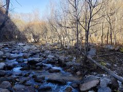 -玉渡山自然风景区