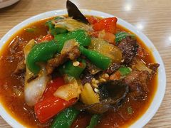 -歹歹的加个面过油肉拌面