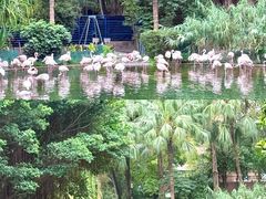 -九龙公园