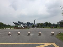 -盐城丹顶鹤湿地生态旅游区