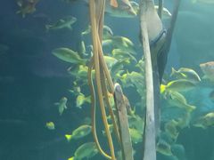 -沈阳海洋探索中心