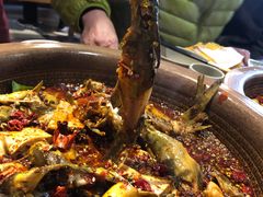 香辣黄辣丁-呱呱叫民俗风味主题餐厅(沣峪口店)