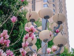 -重庆市江北嘴中央商务区中央公园