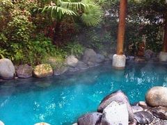 -金凤凰温泉度假村·凤凰汇中餐厅