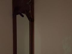 -颐而康按摩(八一桥总店)