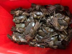 -老财炒饭·熟地蟹·冬瓜蟹