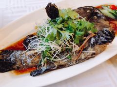 清蒸青斑-潮福城大酒楼(北尚店)