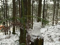 -山王坪喀斯特国家生态公园