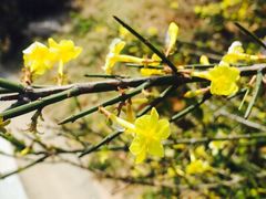 iphone_upload_pic-浮山香苑